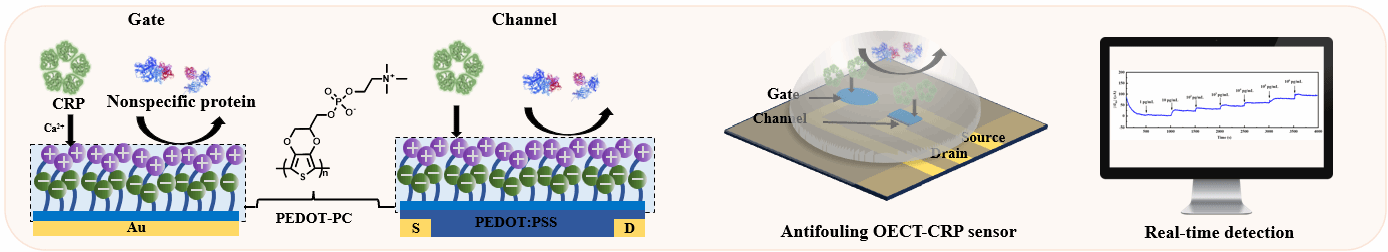 EVO厅·(中国区)视讯官网