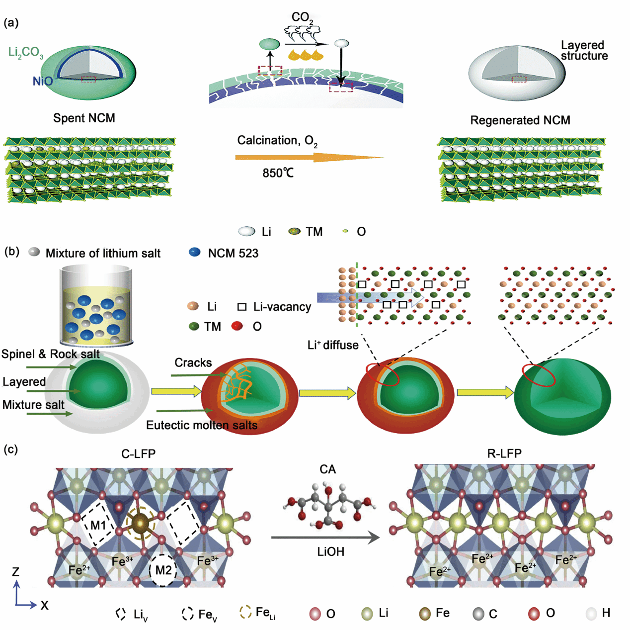 EVO厅·(中国区)视讯官网
