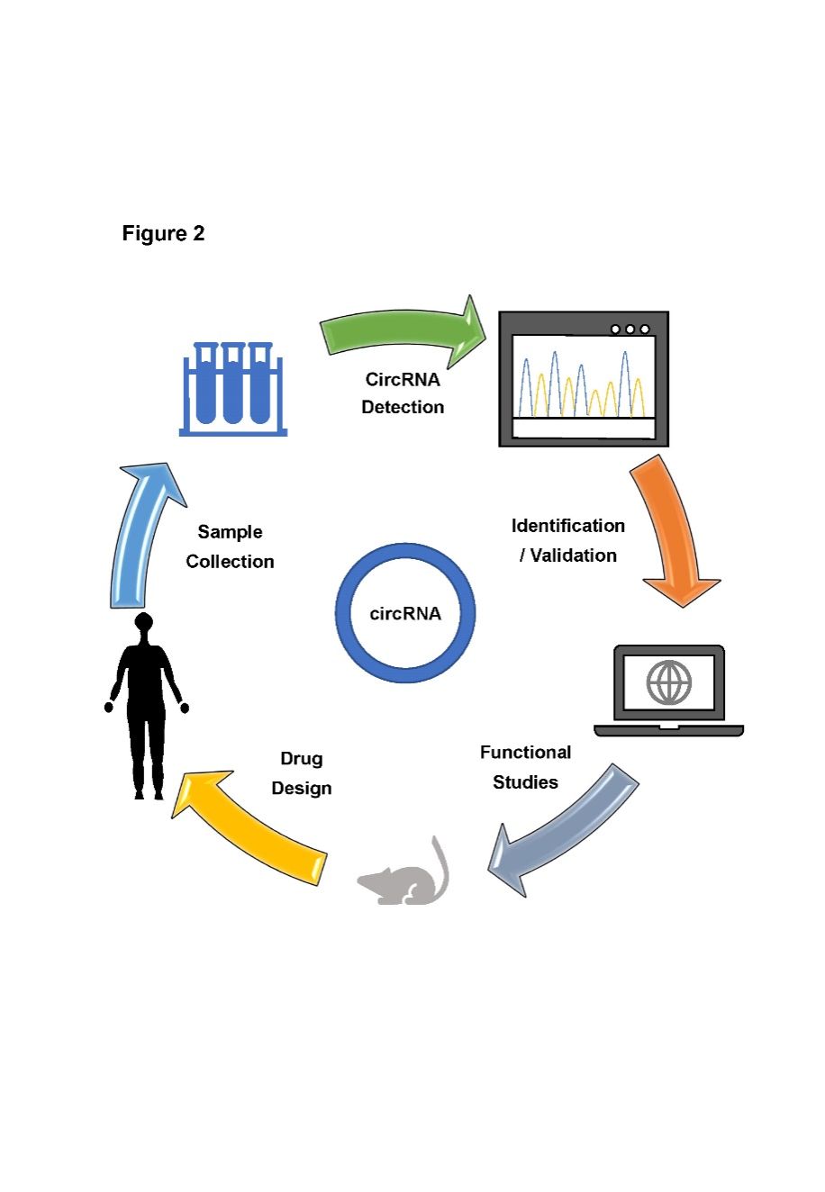 9568705FD606F3CBD898C229131_C0B33787_101D8