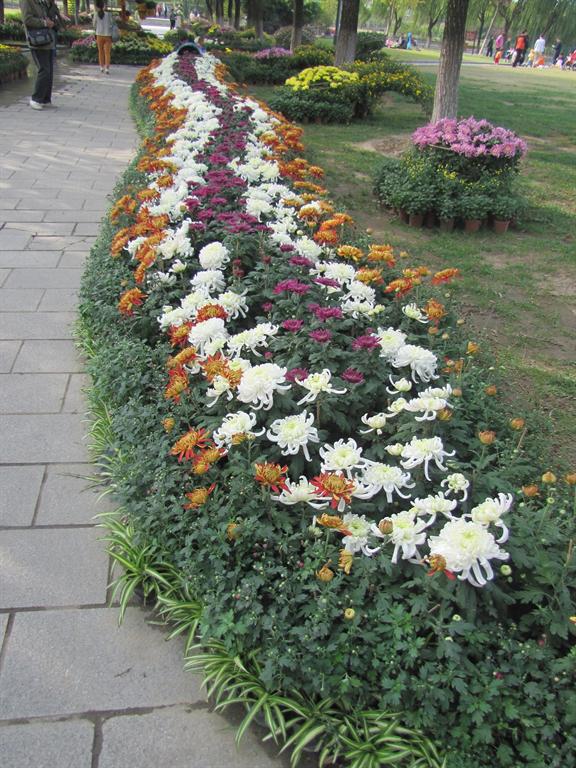 EVO厅·(中国区)视讯官网