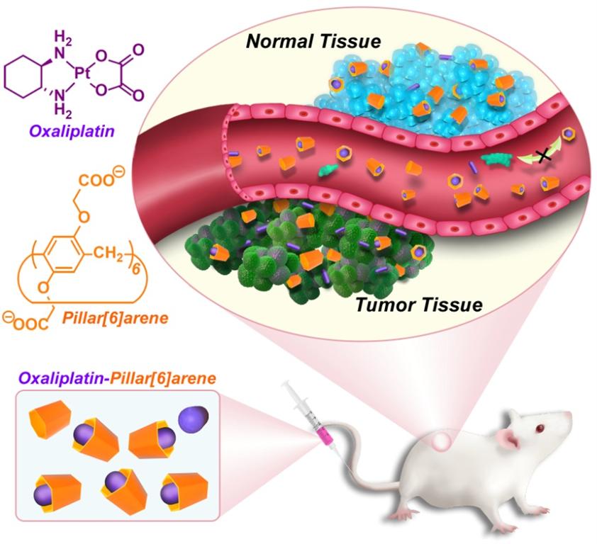 EVO厅·(中国区)视讯官网