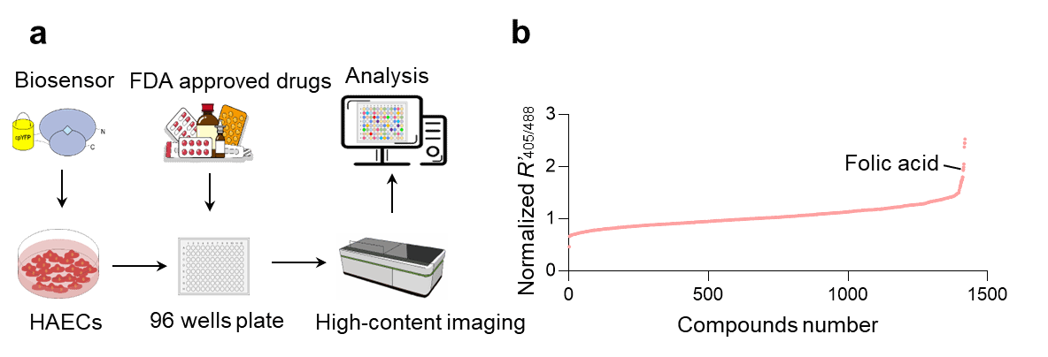 E3829D33085EF8375F70A208E09_F97B4F1E_6AAE