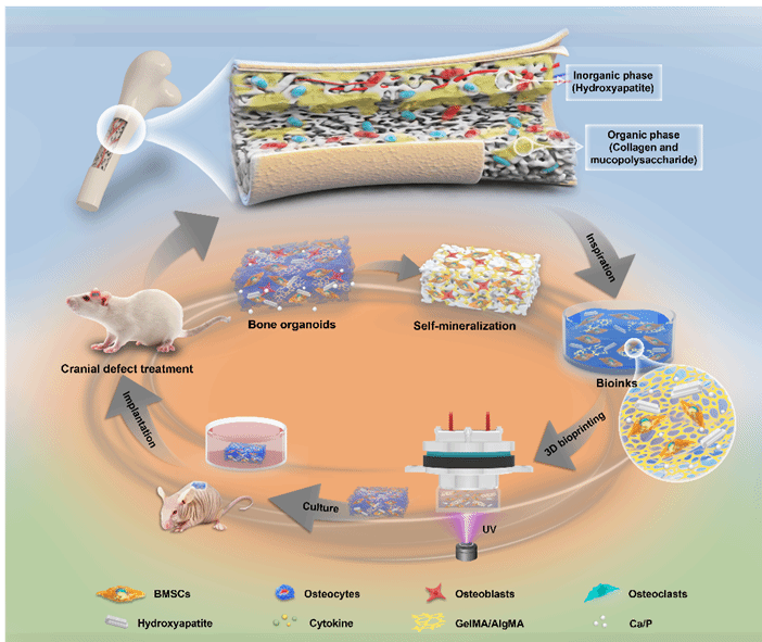 EVO厅·(中国区)视讯官网