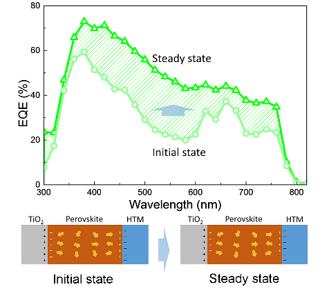 EVO厅·(中国区)视讯官网