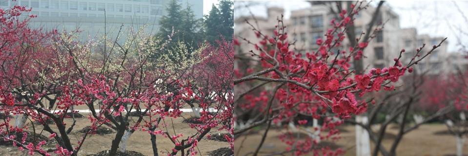 E0CB680C28484689EE192D1A414_15D39376_FCDF.jpg?e=