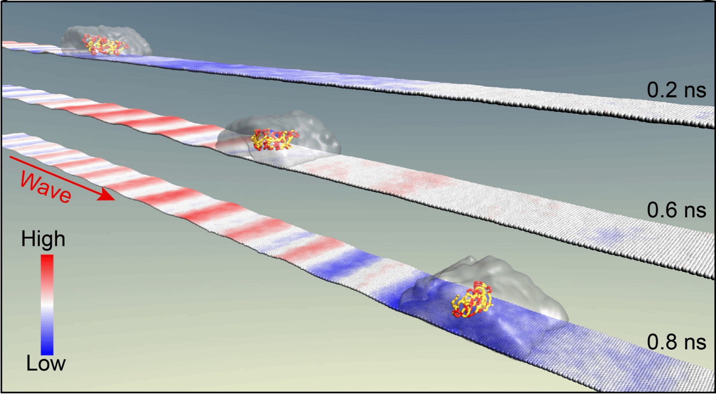 EVO厅·(中国区)视讯官网