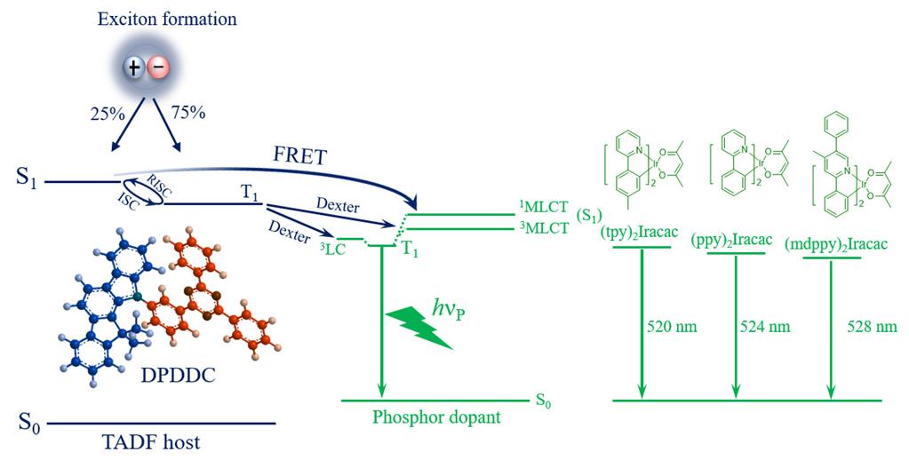 EVO厅·(中国区)视讯官网