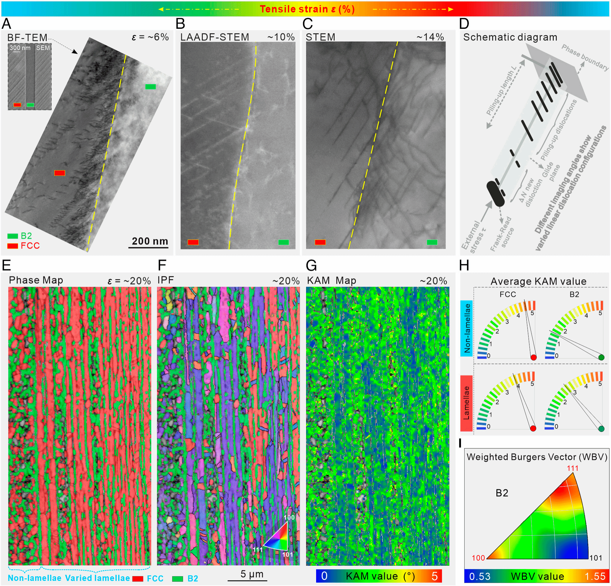 EVO厅·(中国区)视讯官网